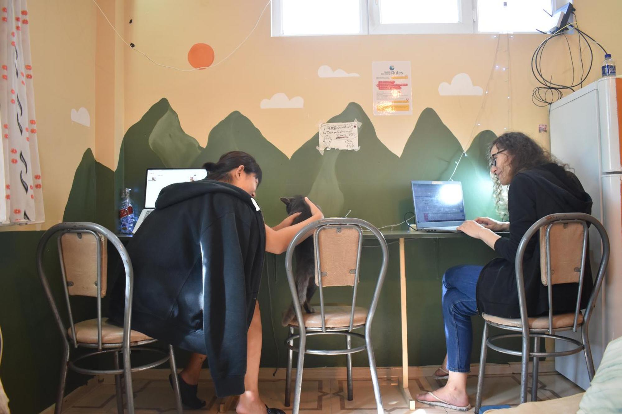 Harmony Backpackers Hostel 바투미 외부 사진